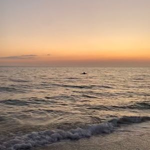 Meet your Posher, Ken